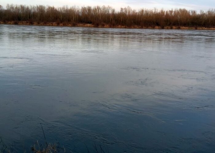 mkiś, resort klimatu, odra, złota alga