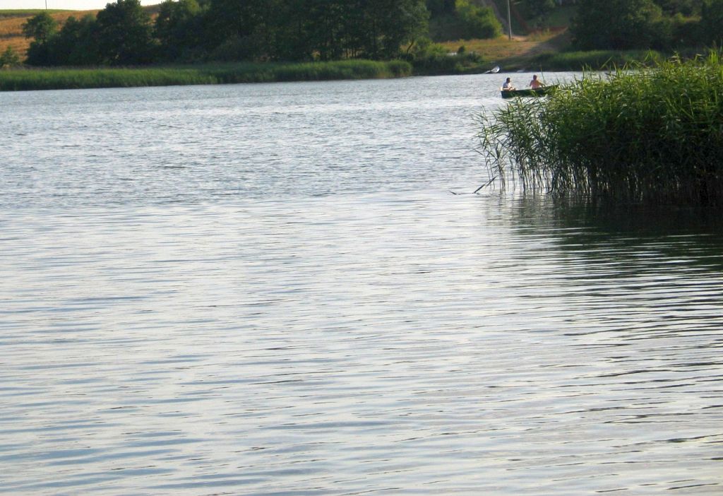 senat, kamiński, okrągły stół, odra