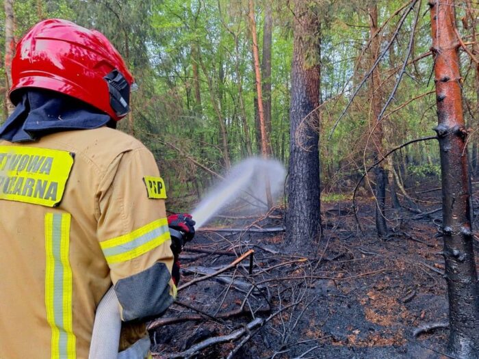 straż pożarna, ostrzeżenie, zagrożenie pożarowe, lasy