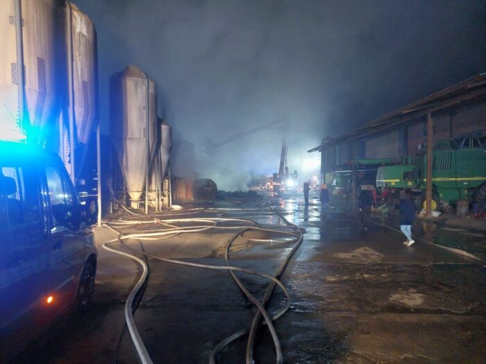 pożar, chlewnia, trzoda chlewna, prosięta