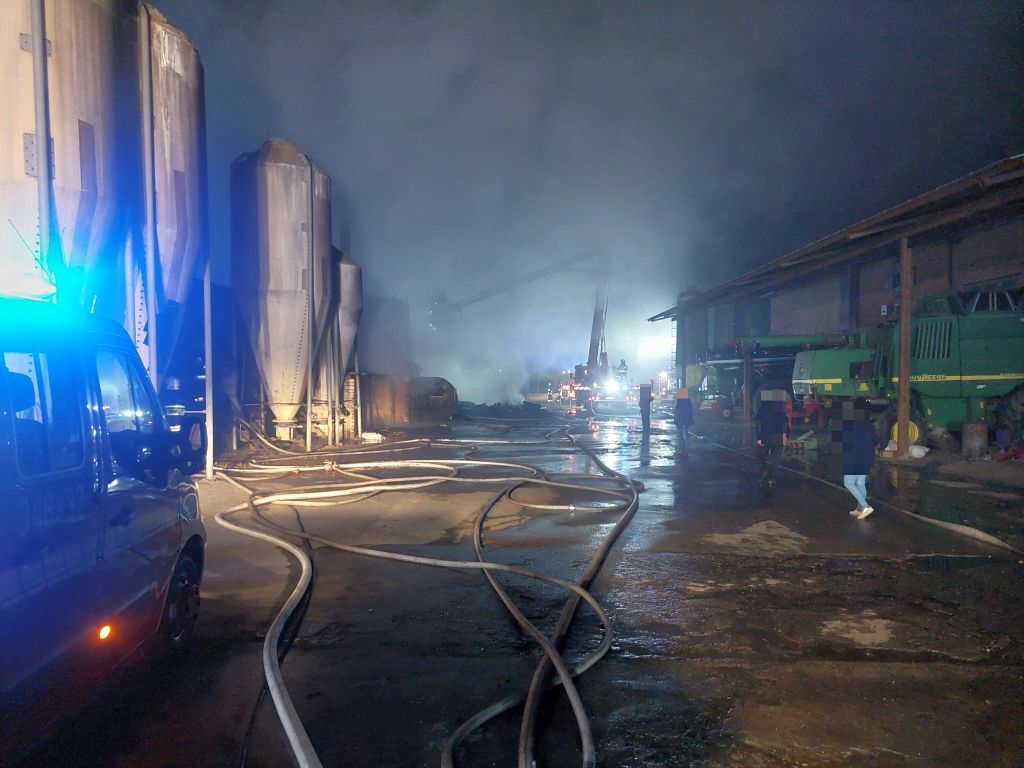 pożar, chlewnia, trzoda chlewna, prosięta