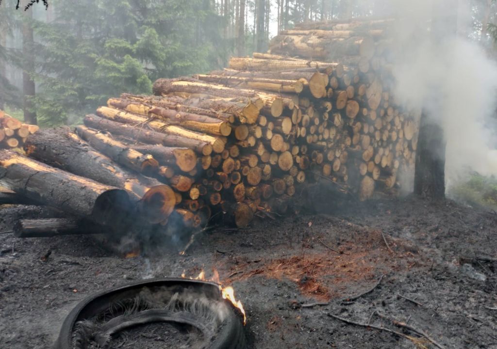 pożar lasu, ciężarówka, drewno, poszycie leśne