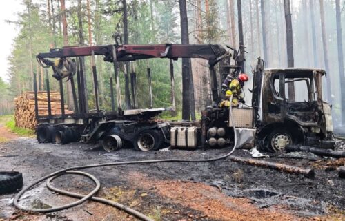 pożar lasu, ciężarówka, drewno, poszycie leśne