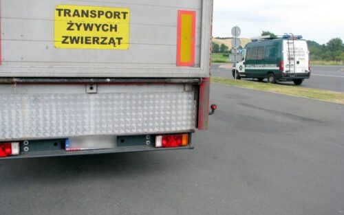 dobrostan zwierząt, przewóz zwierząt, transport zwierząt, rozporządzenie