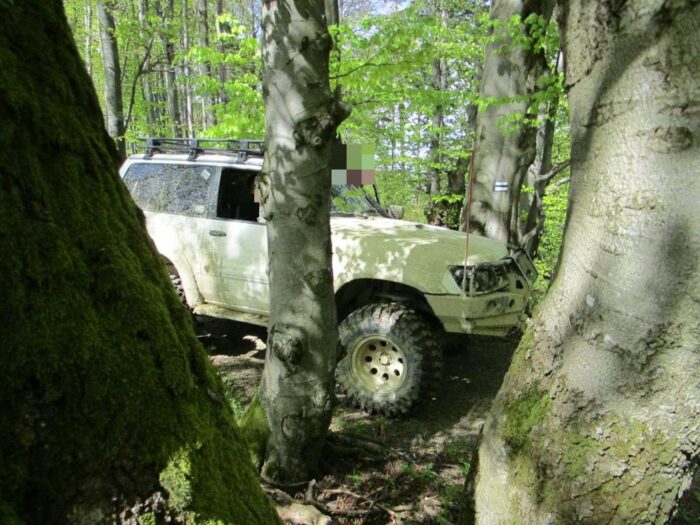 lasy, podkarpacie, rdlp krosno, strażnicy leśni