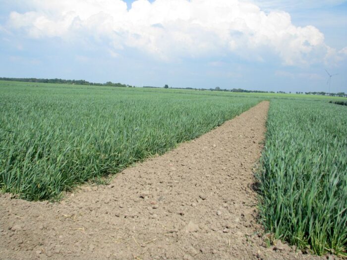 rzecznik praw obywatelskich, wiązek, trybunał konstytucyjny, wyłączenia z dzierżaw