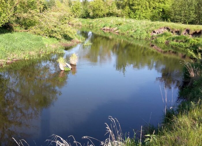 wody polskie, rzeki, stan wód, wilgotność gleby