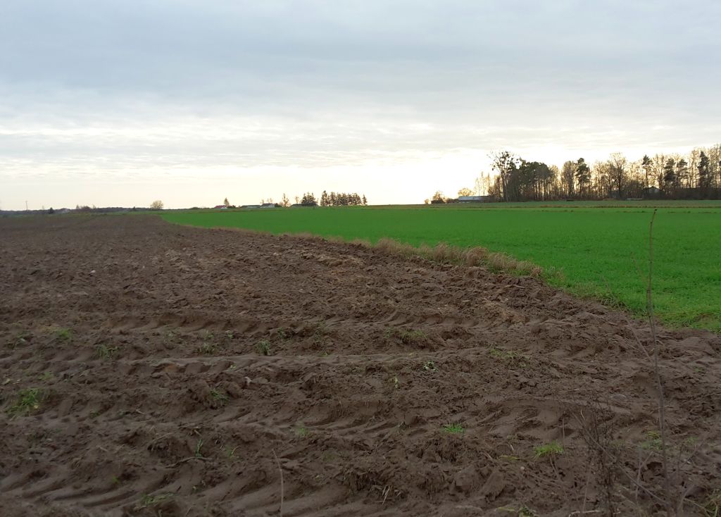 resort rolnictwa, ukraina, dzierżawa, grunty rolne