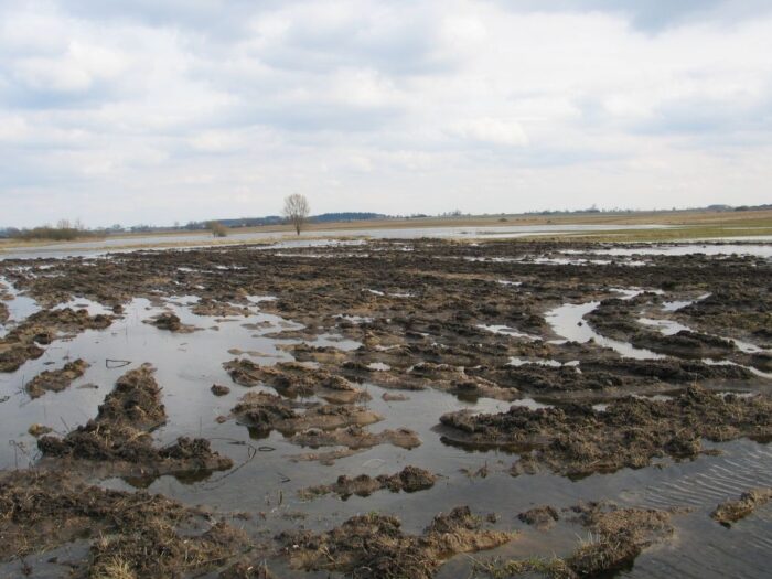 urugwaj, stan wyjątkowy, uprawy, zalania