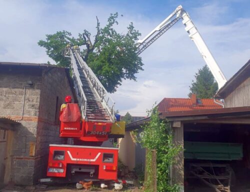 gospodarstwo, piorun, burza, drzewo