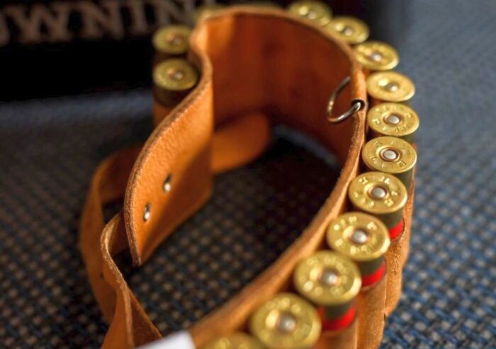 prokuratura, śledztwo, zastrzelona łania, ciężarna łania