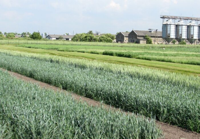 eto, kontrolerzy, wpr, plany rolne