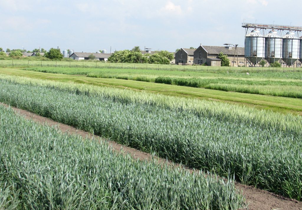 eto, kontrolerzy, wpr, plany rolne