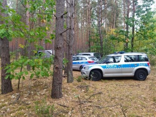 leśniczy, las, ciało, zwłoki