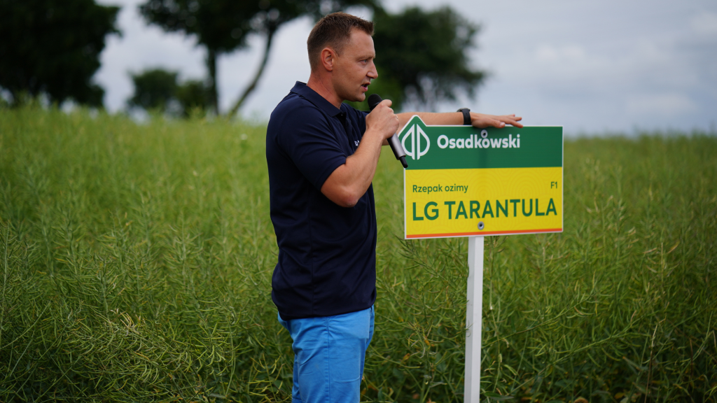 Osadkowski