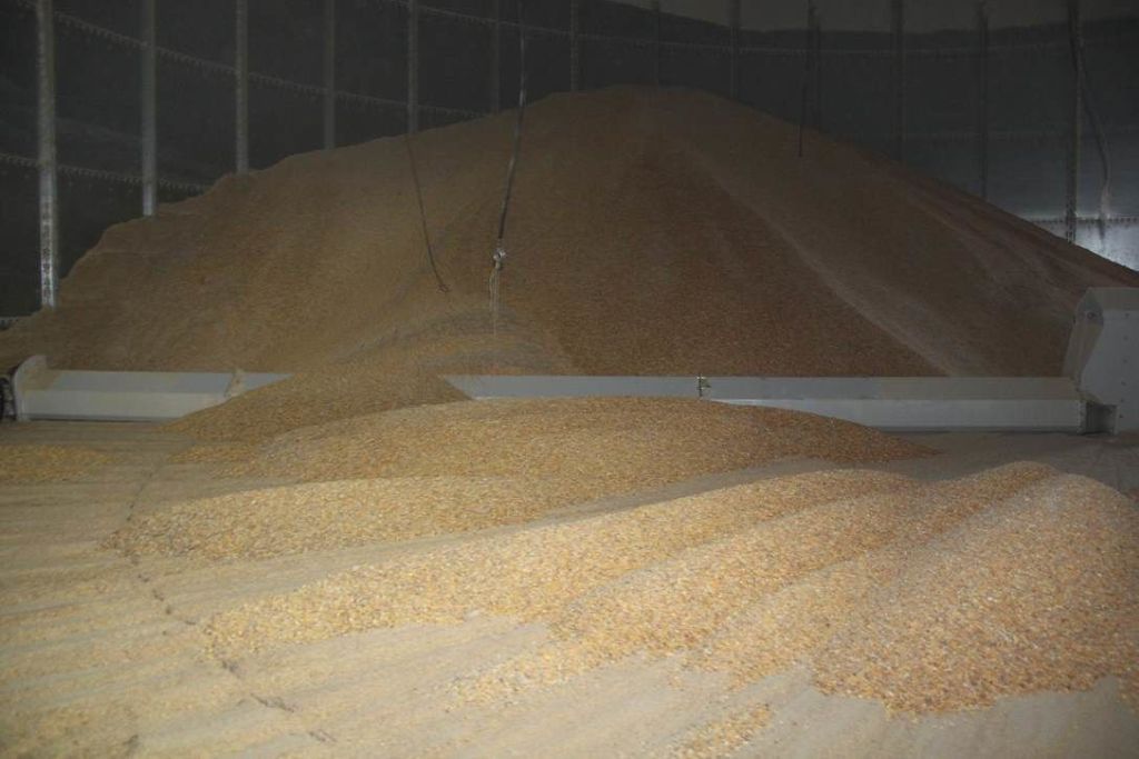 izby rolnicze, szmulewicz, zboże, rynek zbóż