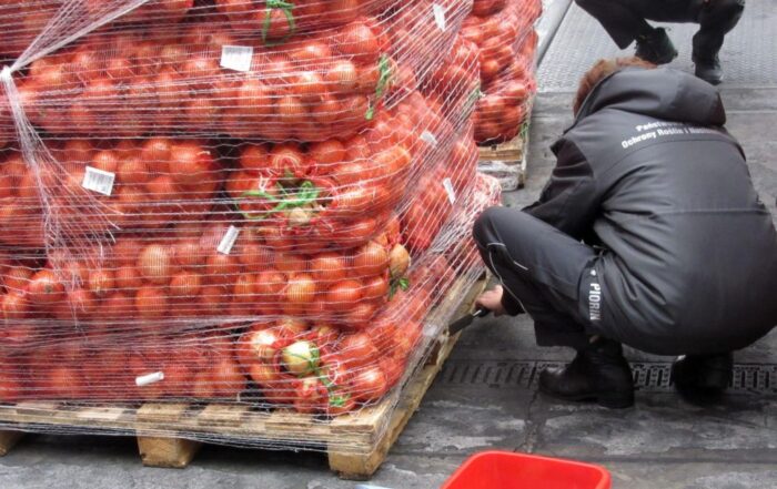 piorin, kontrola graniczna, ue, import