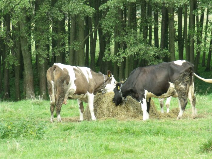 dania, podatek, dwutlenek węgla, co2, podatek od dwutlenku węgla, rolnictwo