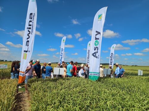 Danko, Hodowla Roślin Danko