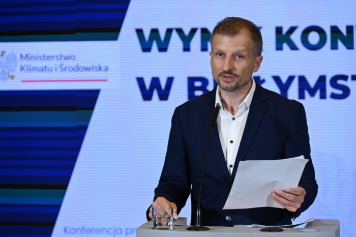 lasy, wycinka, ograniczenie wycinki, gospodarka leśna