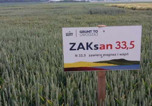 grupa azoty, zakłady azotowe kędzierzyn, strata, wyniki finansowe, produkcja nawozów