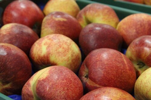 lir, rolnicy, skupy, skup płodów rolnych