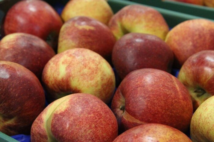 lir, rolnicy, skupy, skup płodów rolnych