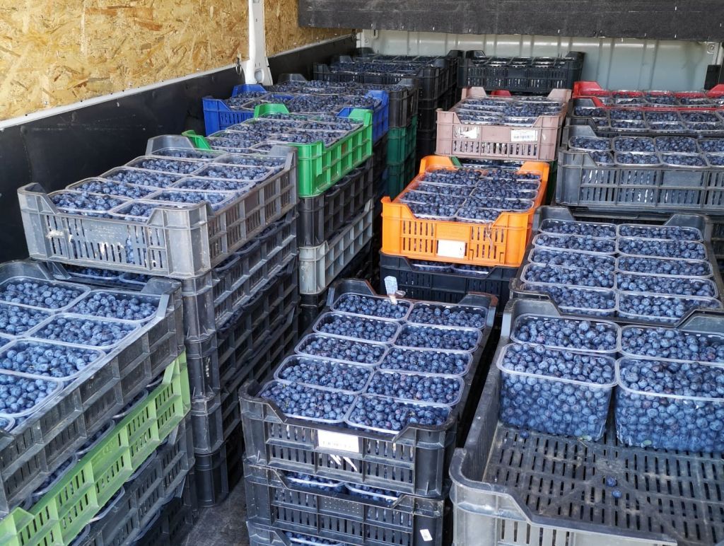 ijhars, kontrole, jakość produktów, oznakowanie