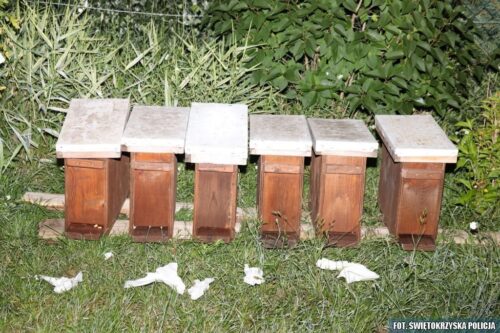kpp staszów, kradzież, pasieka, ule