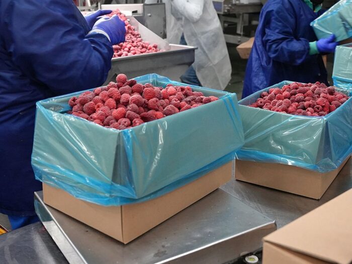 ukraińcy, firma, przejęcie, produkcja mrożonek