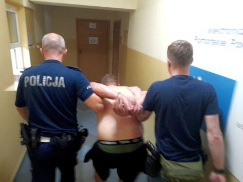 pożar, las, podpalenie, podpalacz