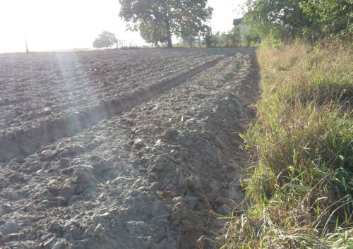 imgw, pogoda, maj, ciepło, opady