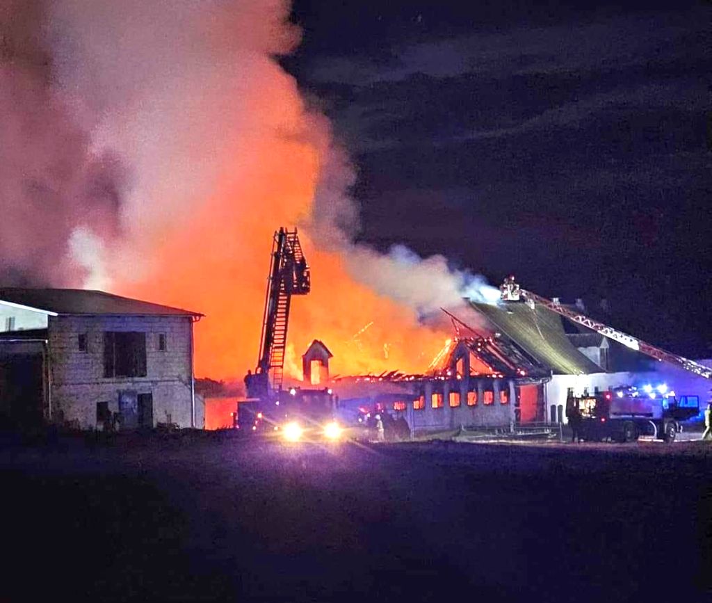 pożar, gospodarstwo, budynek inwentarski, owce