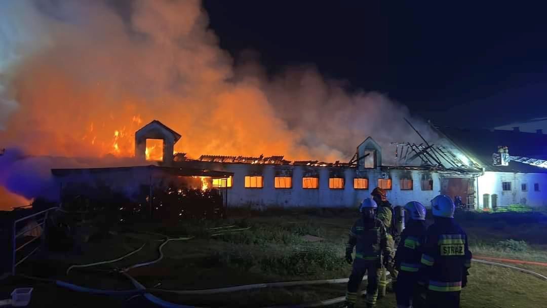 pożar, gospodarstwo, budynek inwentarski, owce