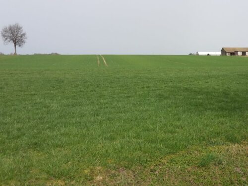 ps wpr, rząd, rada ministrów, zielony ład