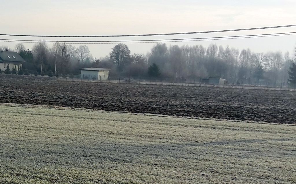 uprawy, przymrozki, przymrozki wiosenne, ubezpieczenie