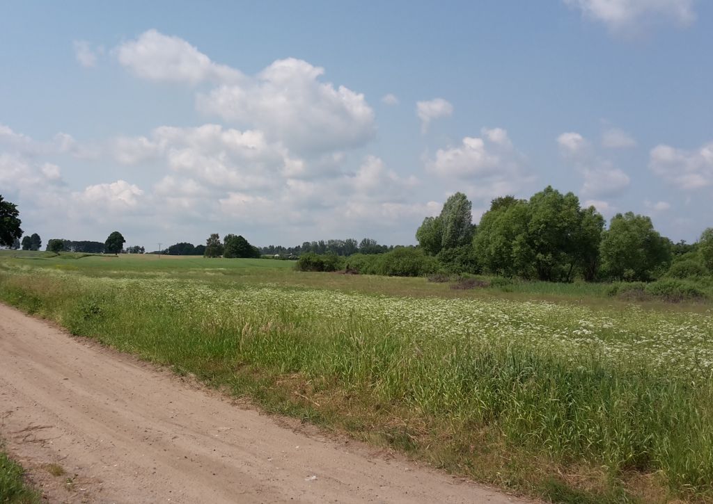 projekt, rozporządzenie, produkcja ekologiczna, płatności ekologiczne, ugorowanie