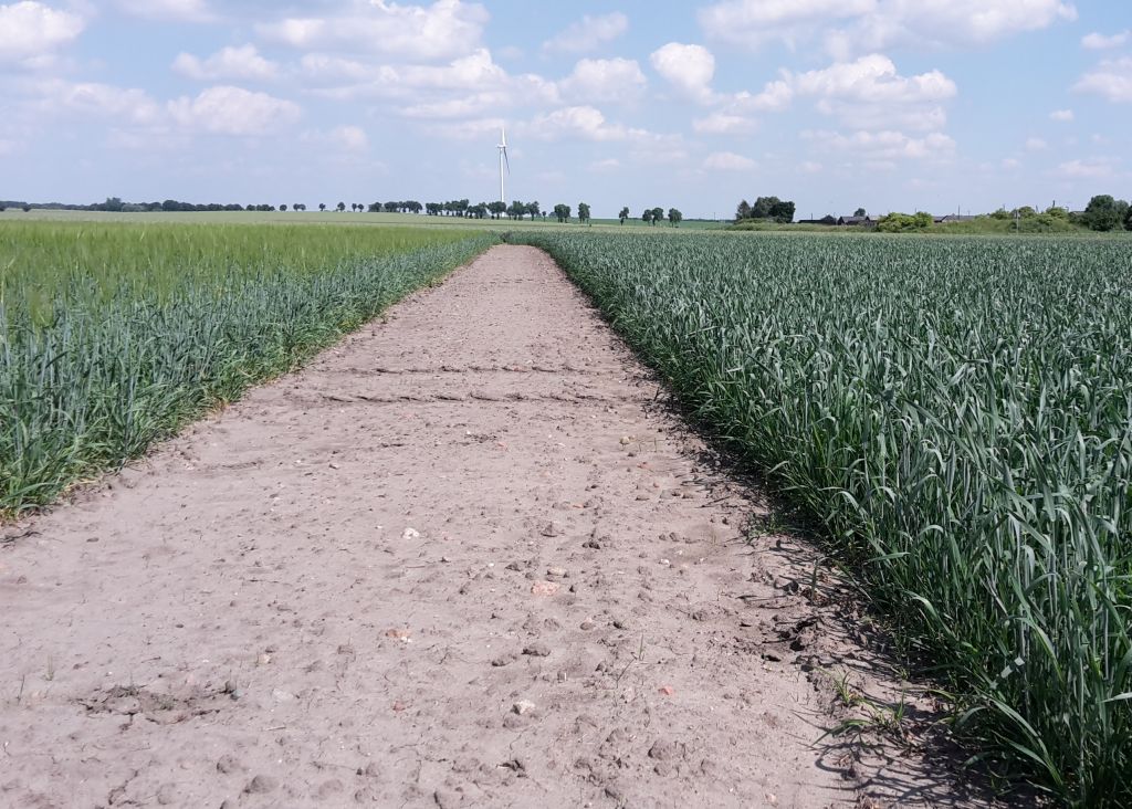 prezydent, kancelaria prezydenta, ustawa, ps wpr