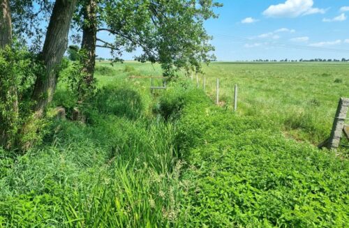 pgw wody polskie, wody polskie, retencja, retencja korytowa