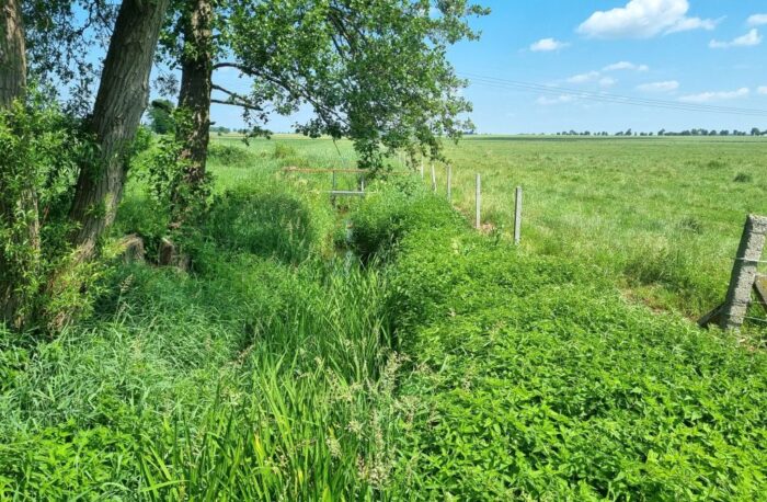 pgw wody polskie, wody polskie, retencja, retencja korytowa