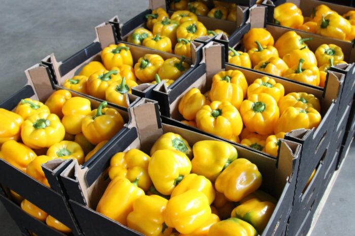 agencja, nabór, wnioski, pomoc