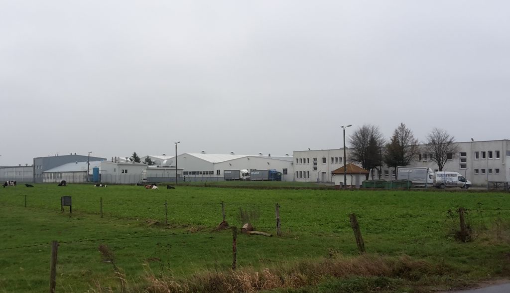 zielony ład, fit for 55, ue, przemysł, rolnictwo
