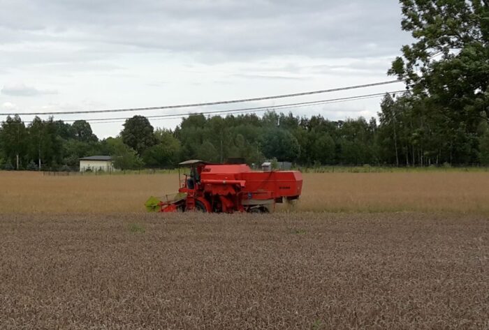 wir, monitoring żniwny, raport żniwny, żniwa