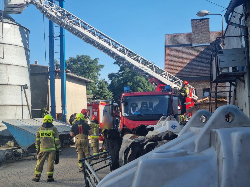 strażacy, silos zbożowy, utrata przytomności, ewakuacja