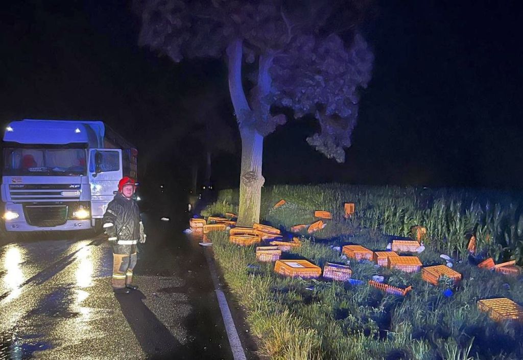 ciężarówka, przewóz zwierząt, klatki, króliki