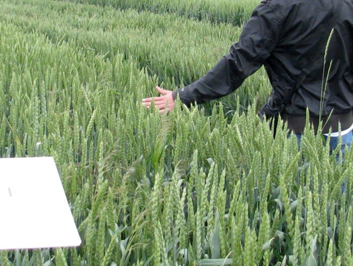 ministerstwo rolnictwa, kontrole, rolnicy, kontrole rolników