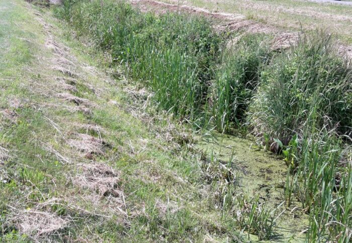 wojewoda, dofinansowanie, spółki wodne, związek spółek wodnych, melioracja