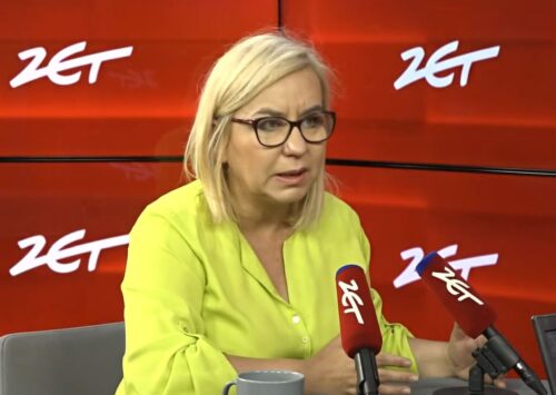 minister klimatu, hennig-kloska, moratorium leśne, wycinka lasów