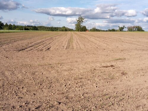 prawo, ustawa, zwrsp, ziemia rolna