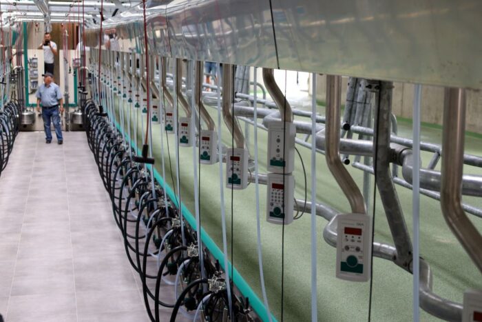 otwarcie obory wolnostanowiskowej, hala udojowa GEA, produkcja mleka,separat,